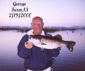 George.GIF (32564 bytes)